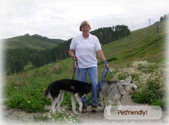 ski in and out  pet friendly 2 bedroom condo crested butte