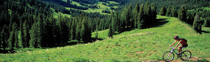 crested butte vacation rental condos