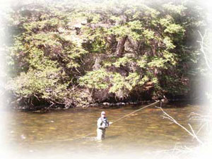 fishing the taylor river