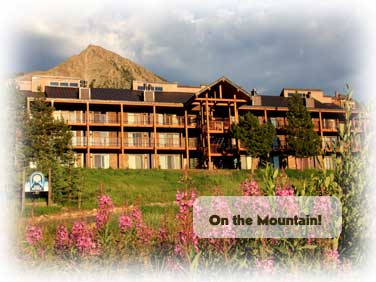 dog friendly vacation rental in crested butte