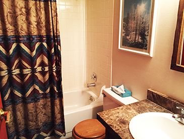 first bathroom at the Three seasons in Crested Butte