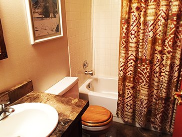 second bathroom at the two bedroom in crested butte